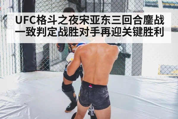 UFC格斗之夜宋亚东三回合鏖战一致判定战胜对手再迎关键胜利