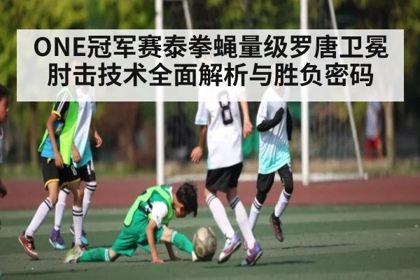 ONE冠军赛泰拳蝇量级罗唐卫冕肘击技术全面解析与胜负密码
